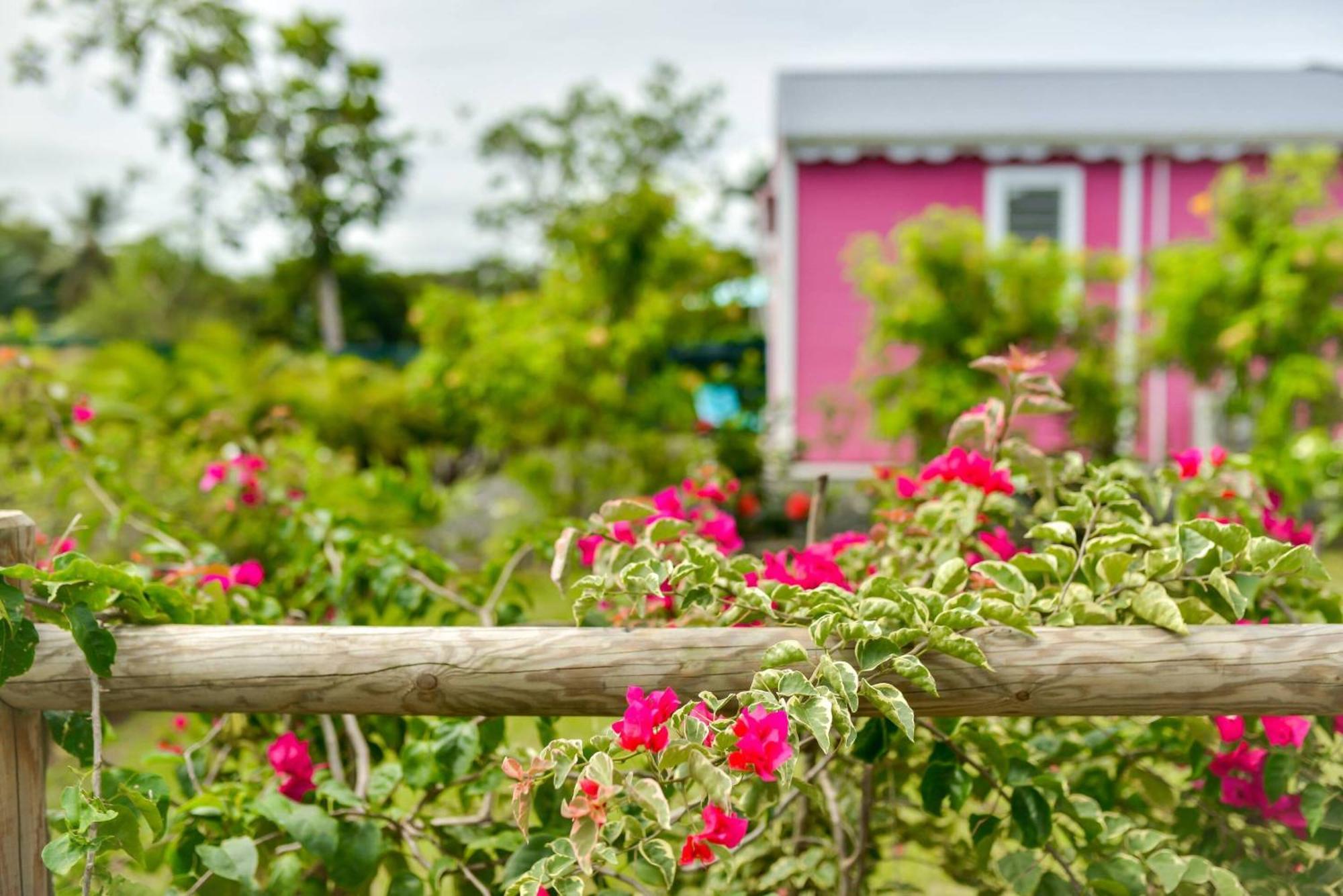 Les Jardins De Chantilly -Bungalows 4 Etoiles Avec Jardins Et Piscines Privees เบย์-มาโอลต์ ห้อง รูปภาพ